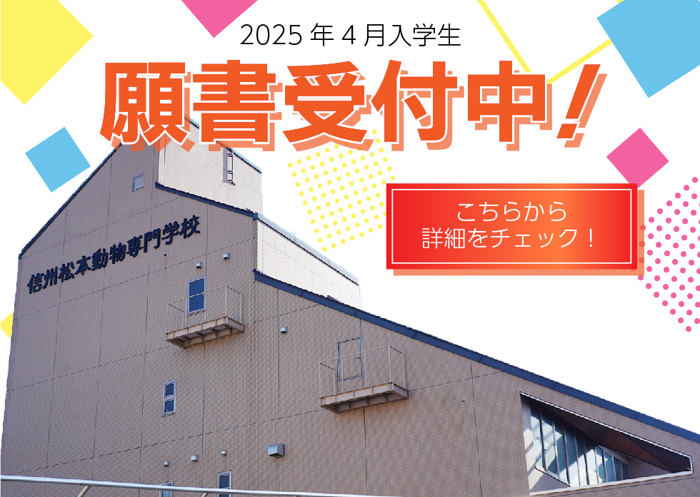 2025年4月入学生願書受付中！