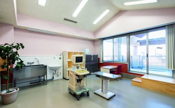 MIA Pet Clinic