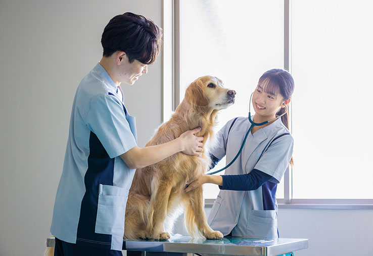 動物看護師学科
