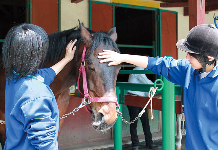 ペットライフケア学科 動物飼育・ドッグトレーニング専攻
