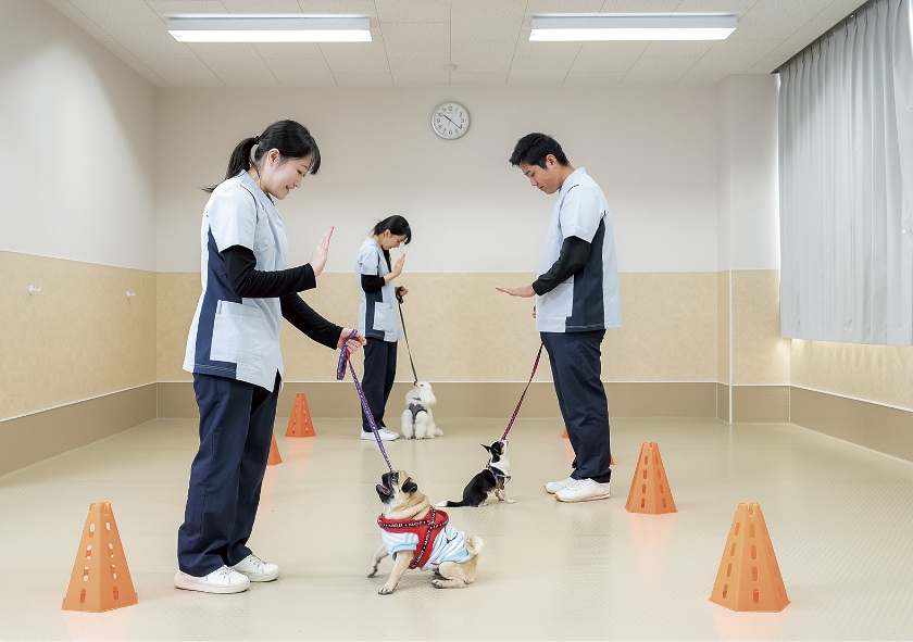 充実した実習カリキュラム