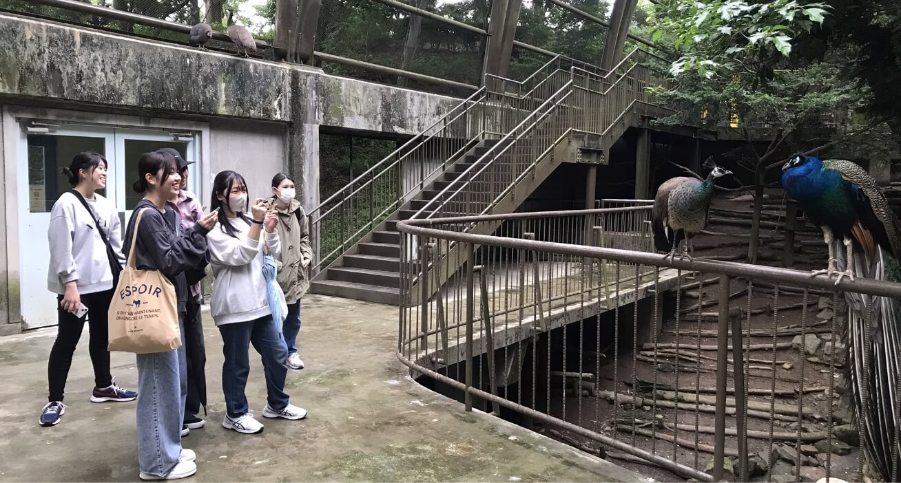 訪問した動物園の様子