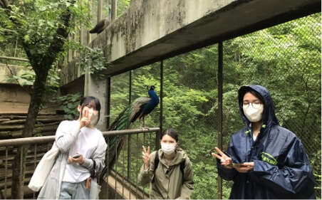 アルプス公園小鳥と小動物の森