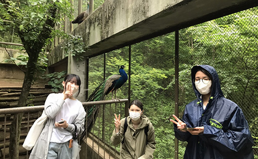 動物園訪問の様子