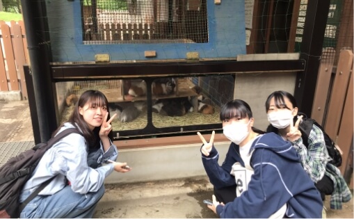 動物園訪問の様子