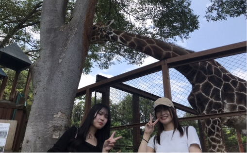 動物園訪問の様子