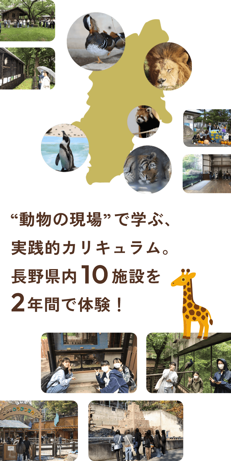 “動物の現場”で学ぶ、実践的カリキュラム。長野県内10施設を2年間で体験！