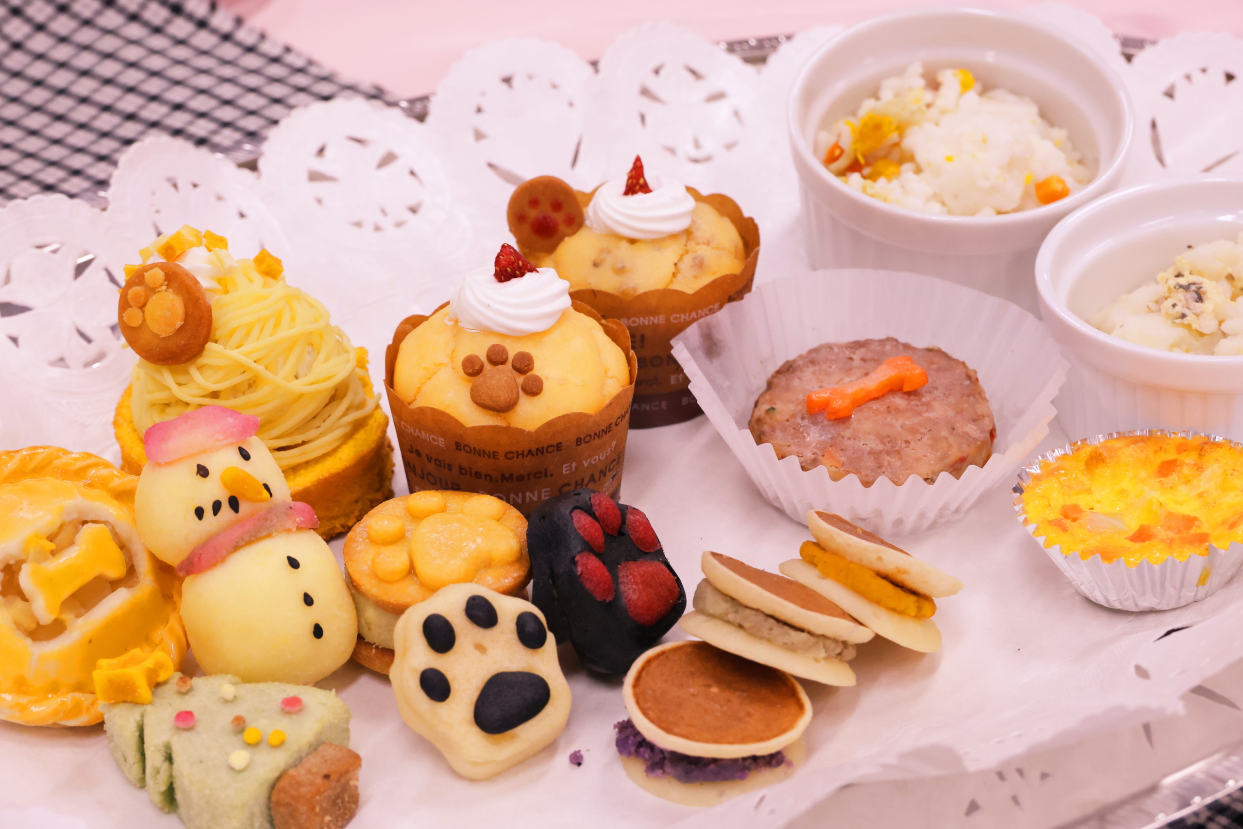 ペットビュッフェ開発中ペット食品の画像、信州松本動物専門学校、ペットライフケア学科