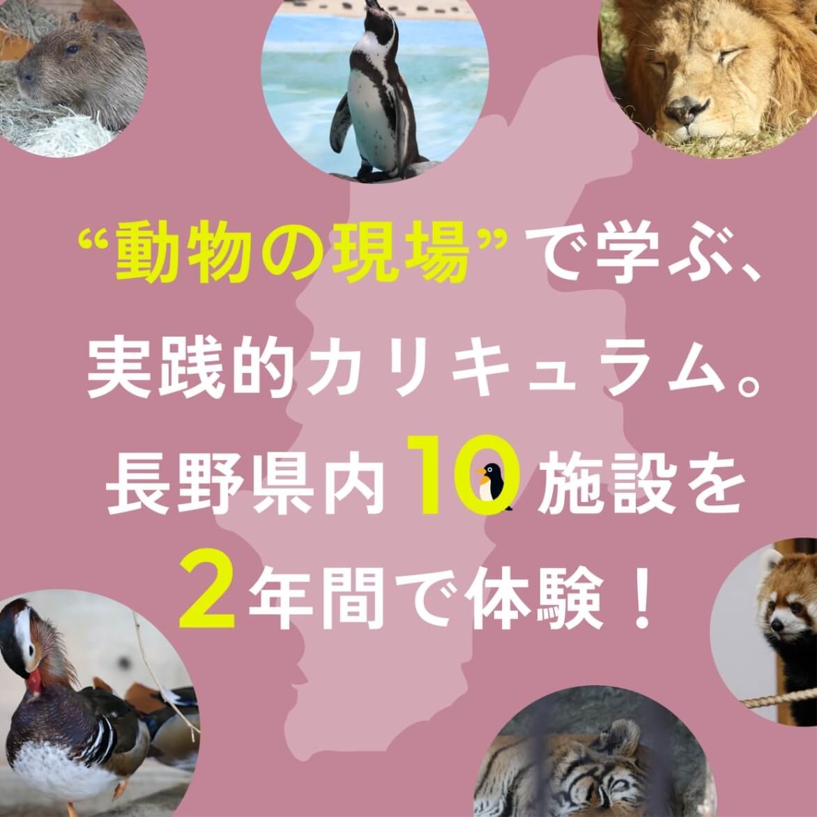 動物園・水族館を巡る