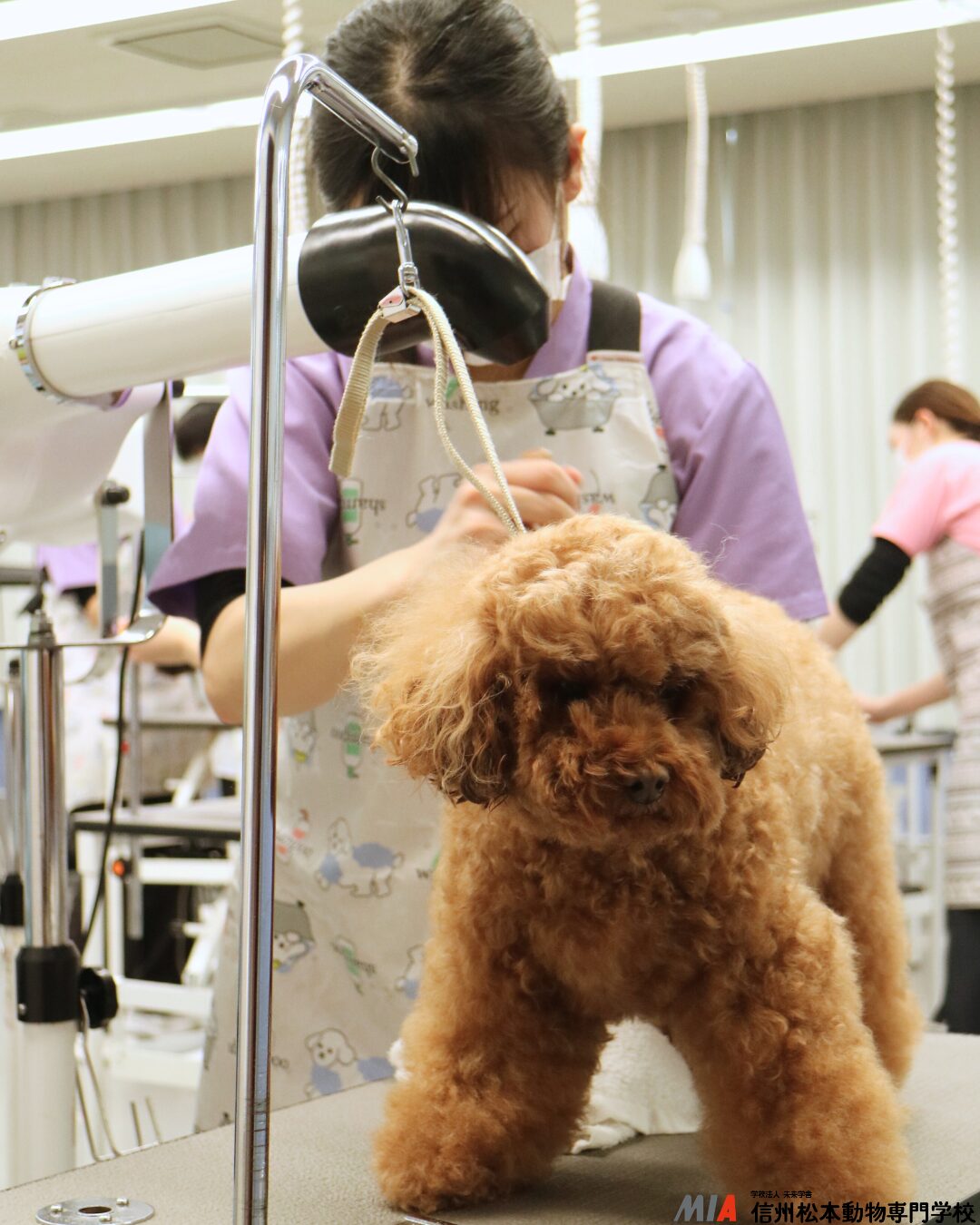 サロントリマー検定1級に挑戦する準備をしている学生の様子2