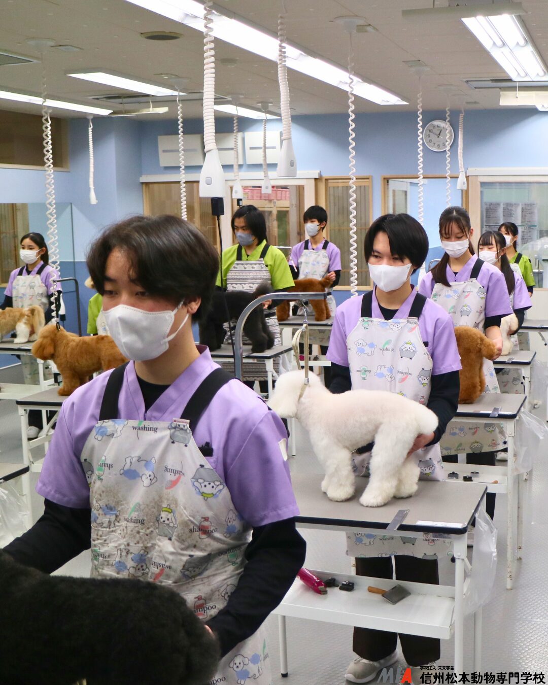 サロントリマー検定1級に挑戦する学生の学内受験開始直前の様子