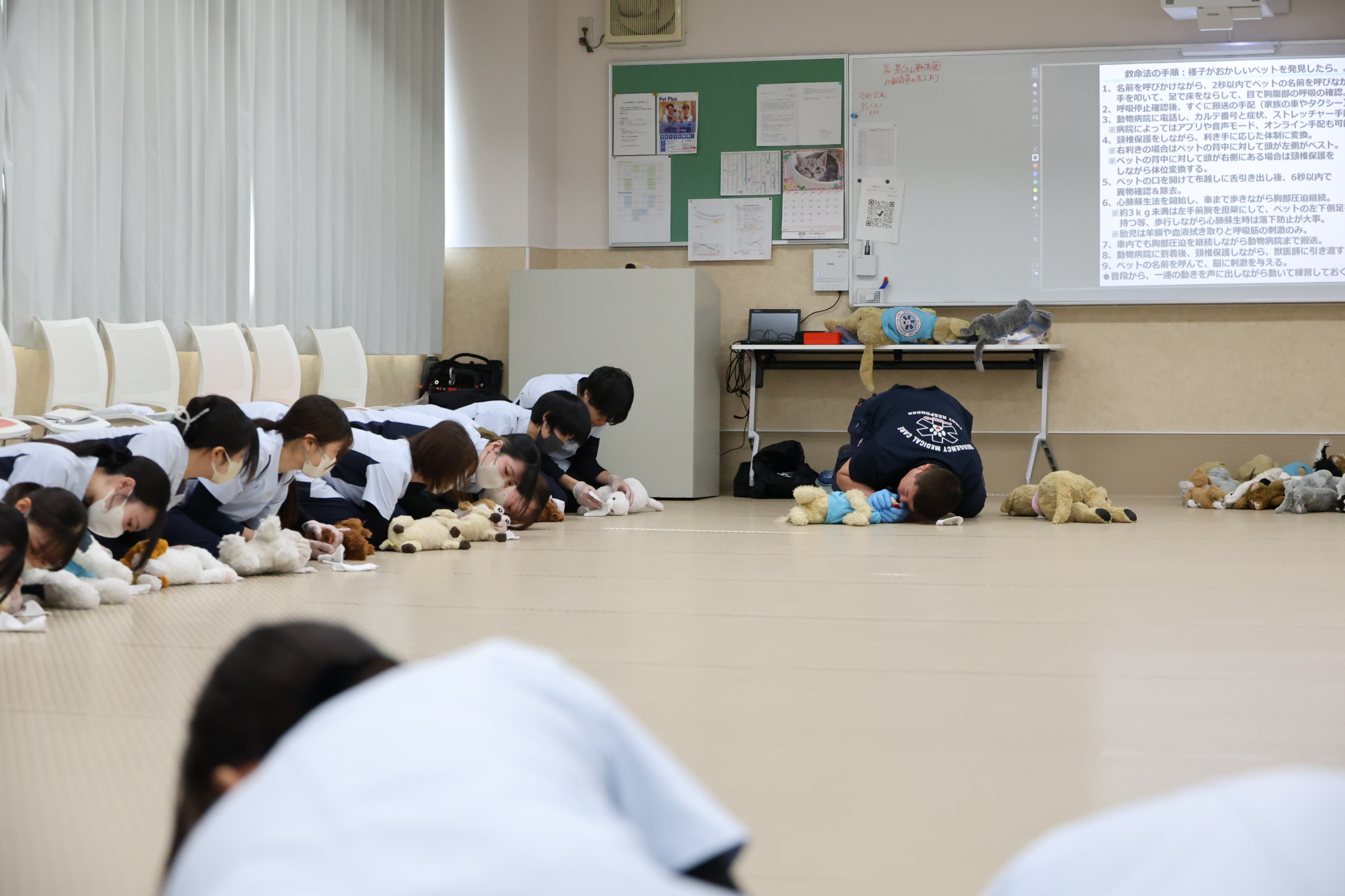 ペットセーバー講習の実技の様子
