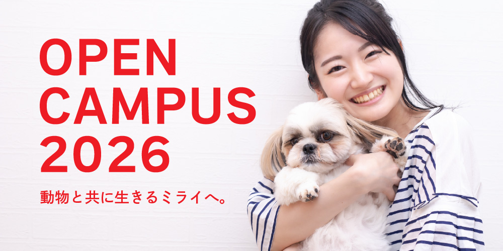 オープンキャンパスのお知らせ