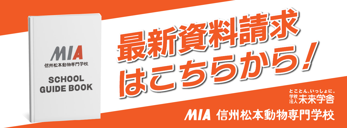 信州松本動物専門学校_資料請求ページバナー