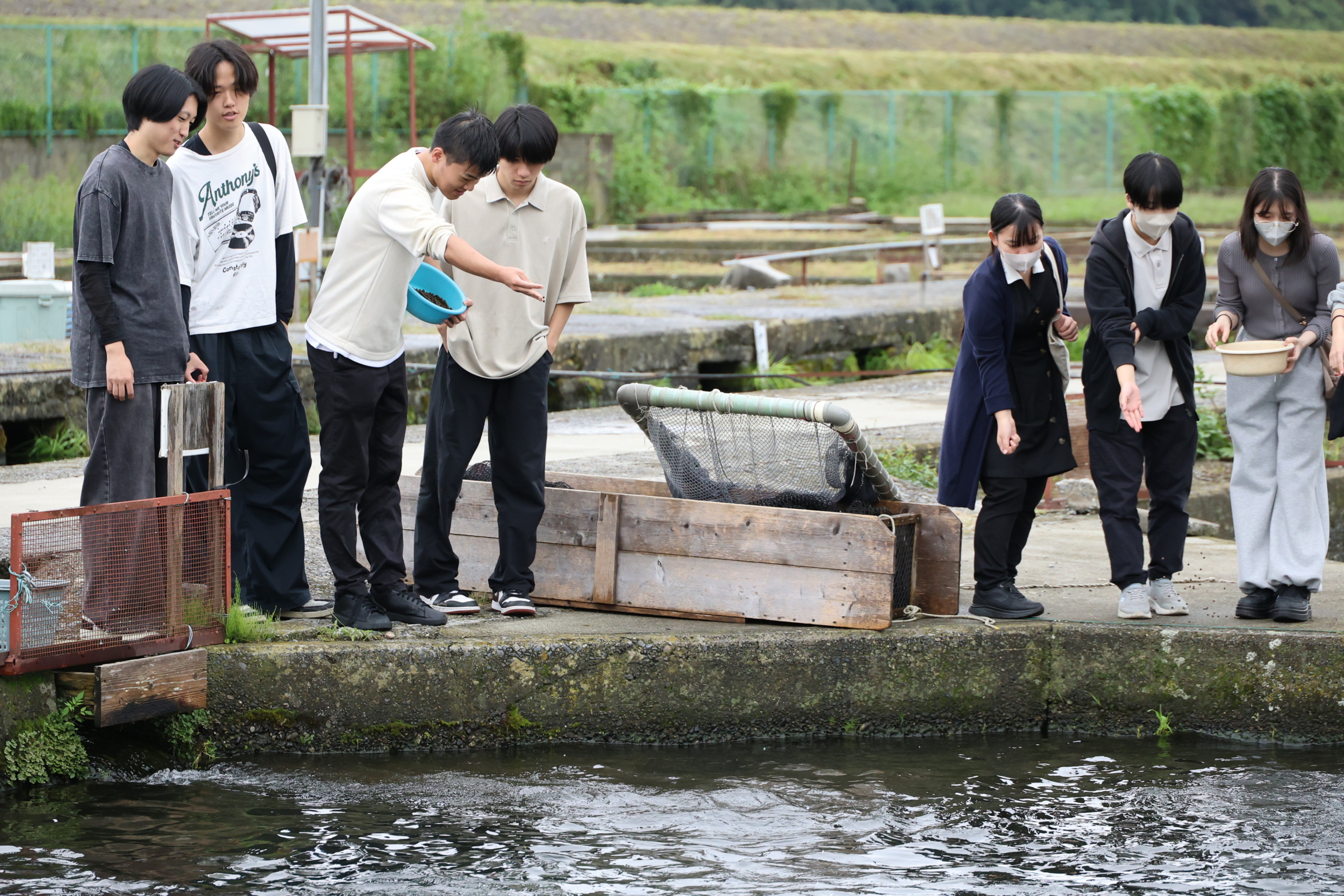 エサやり体験をする学生、魚に触れ