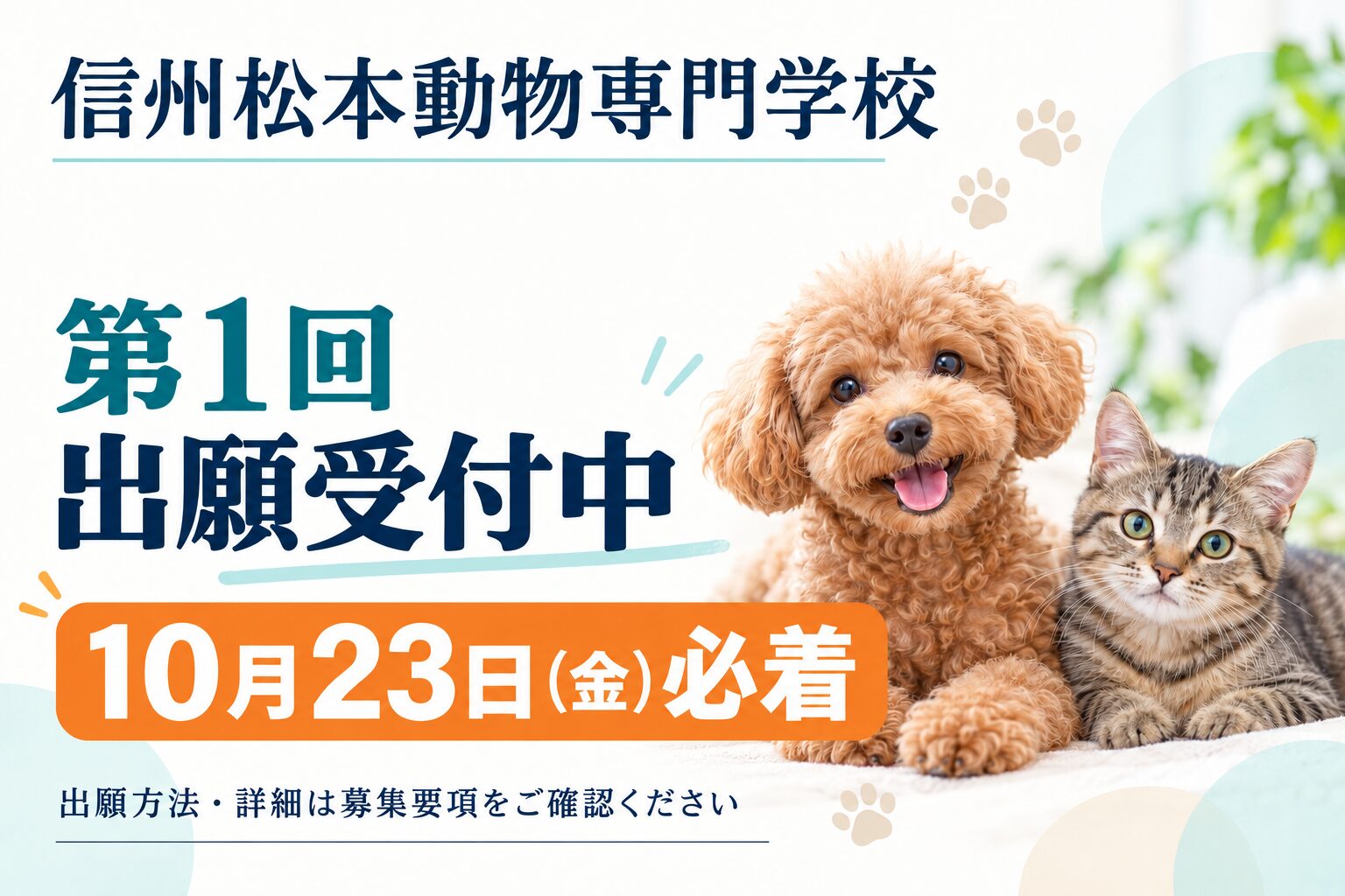 出願受付開始