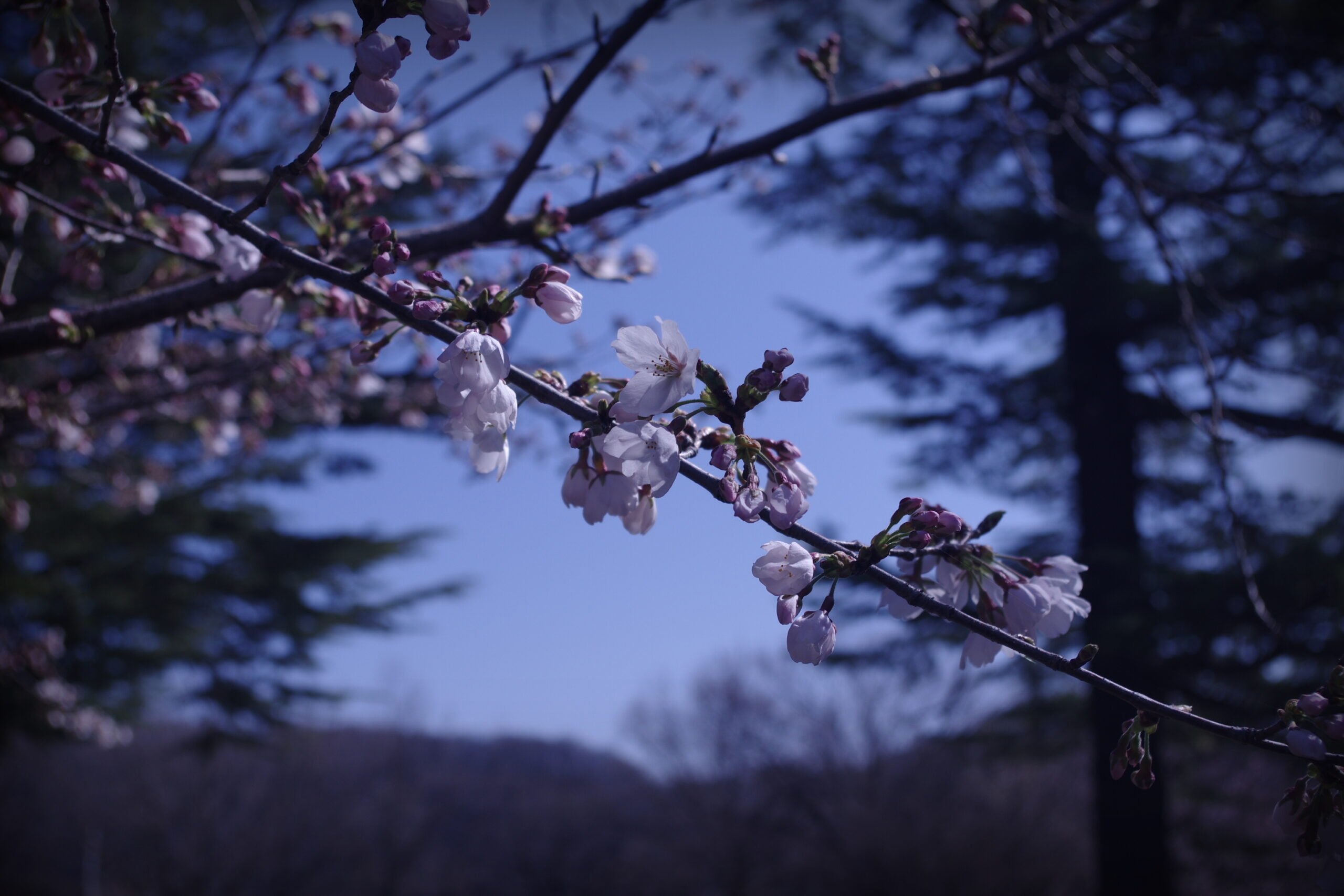 21期生、入学！