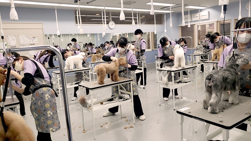 実習写真