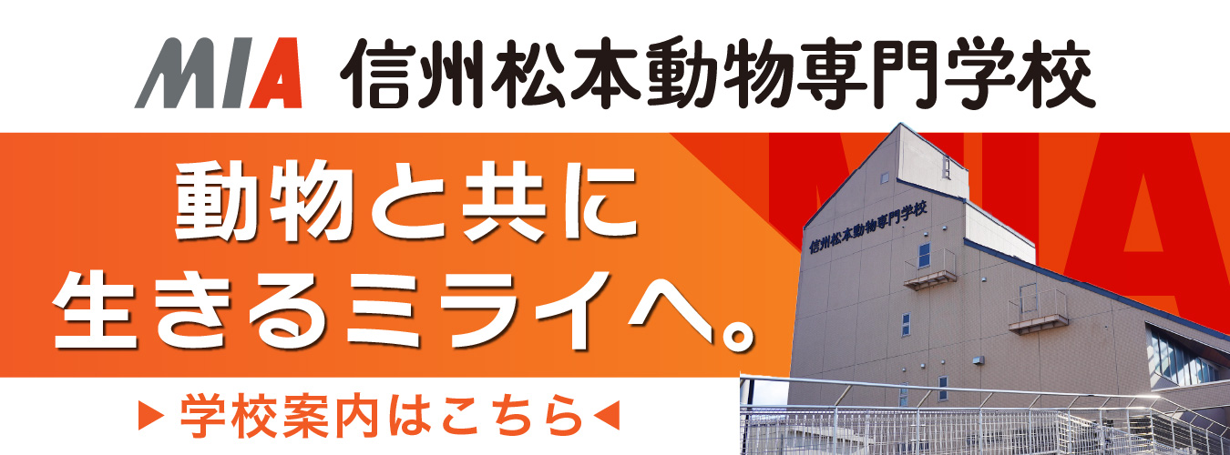 信州松本動物専門の紹介バナー